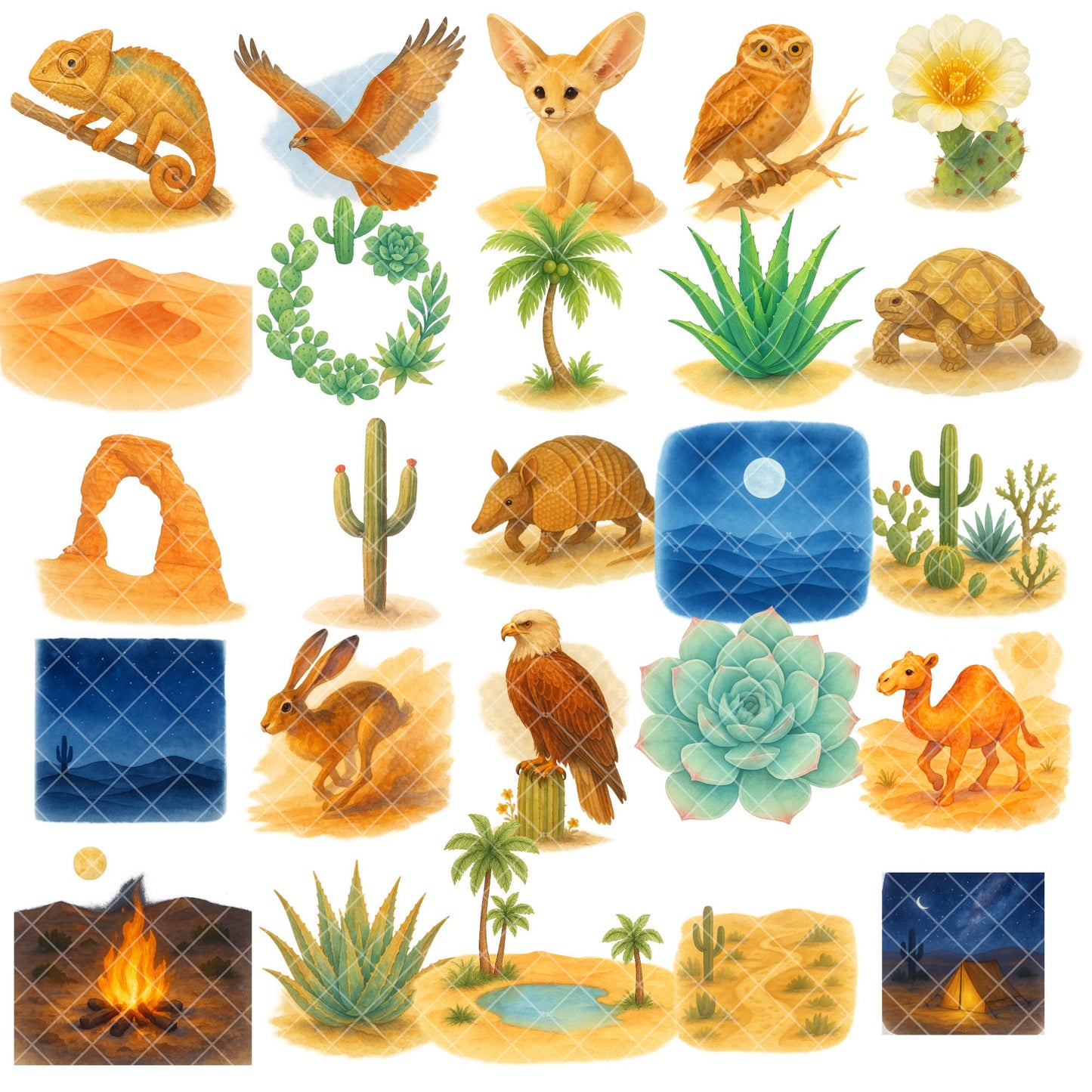 Desert Wildlife Watercolor Clipart Bundle – PNG Desert Animals, Cactus & Southwest Nature Art (50 Files)