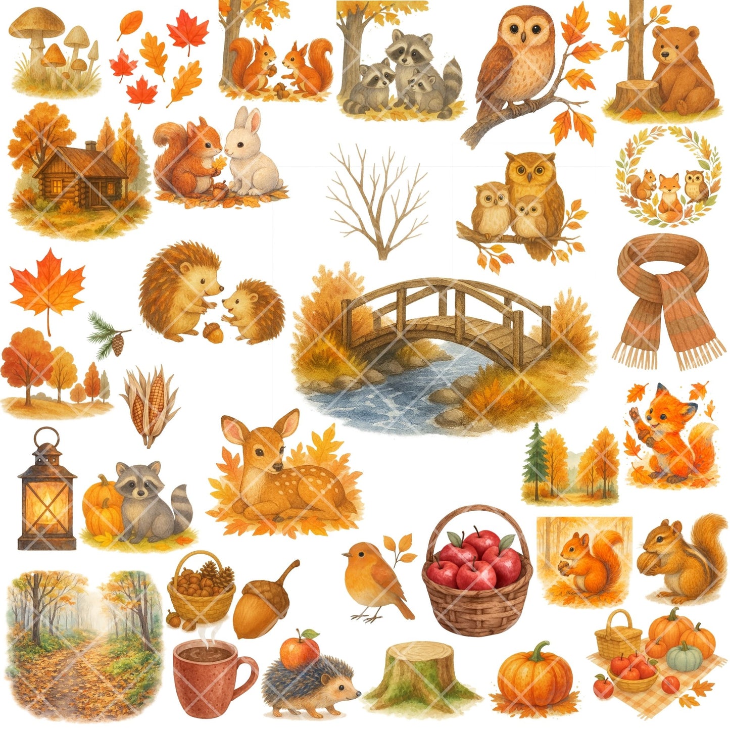 Autumn Forest Critters Clipart PNG | Watercolor Fall Woodland Animals | Cozy Autumn Nursery Art | Thanksgiving Forest PNG | Commercial Use