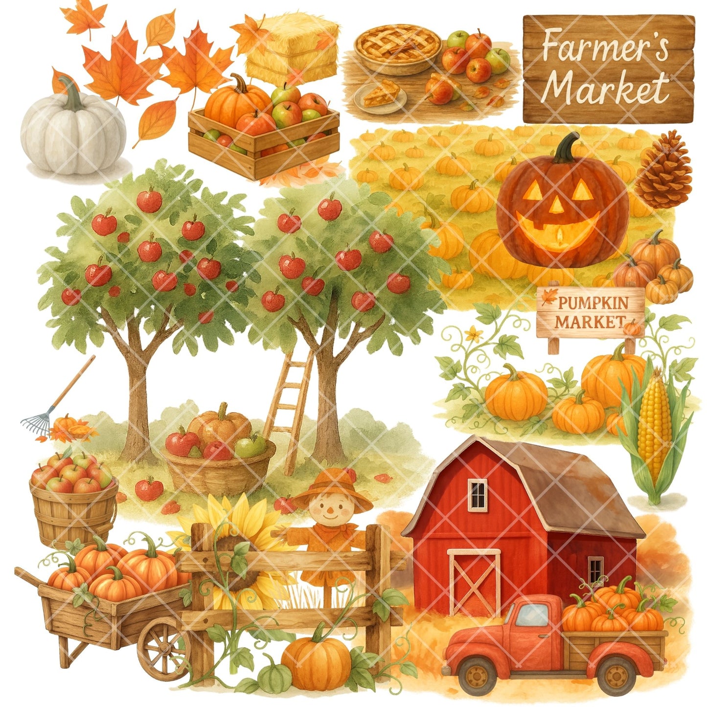 Watercolor Autumn Harvest PNG Bundle – Fall Farm Clipart, Rustic Pumpkin & Thanksgiving Art (56 Files)