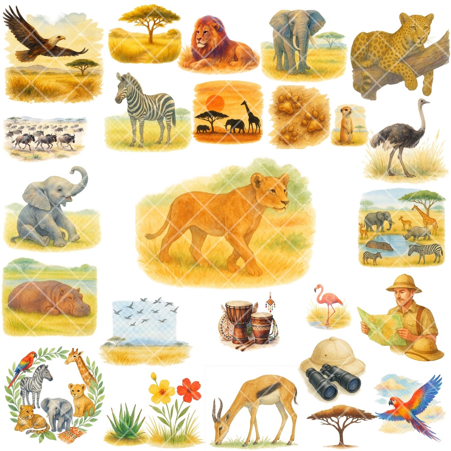 Watercolor Safari Animals Clipart PNG | African Savanna Jungle Animals | Nursery & Classroom Decor | Wildlife PNG Set | Commercial Use