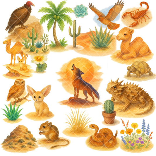 Desert Wildlife Watercolor Clipart Bundle – PNG Desert Animals, Cactus & Southwest Nature Art (50 Files)