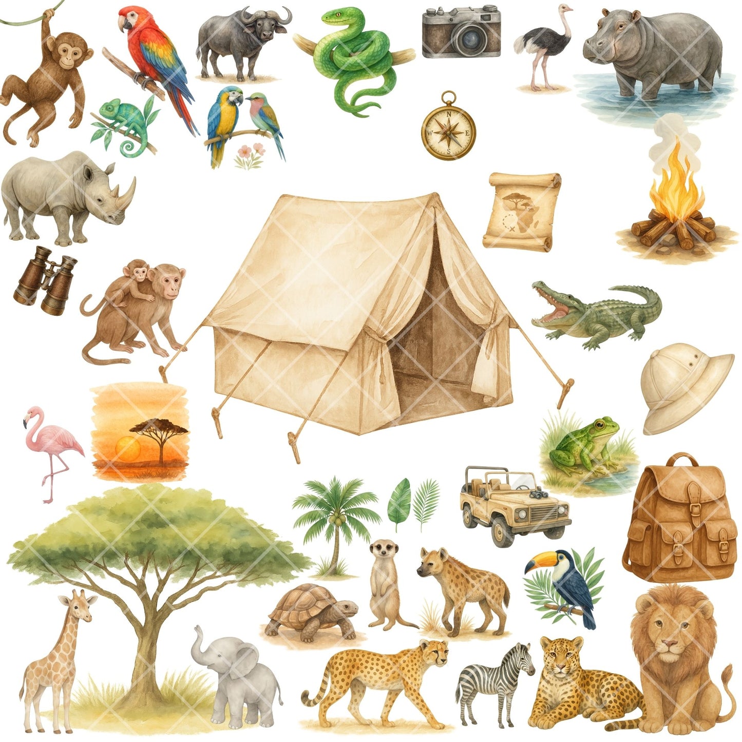 Safari Watercolor Clipart PNG | Jungle Animals Clipart | Safari Nursery Art | Jungle Adventure PNG | Commercial Use