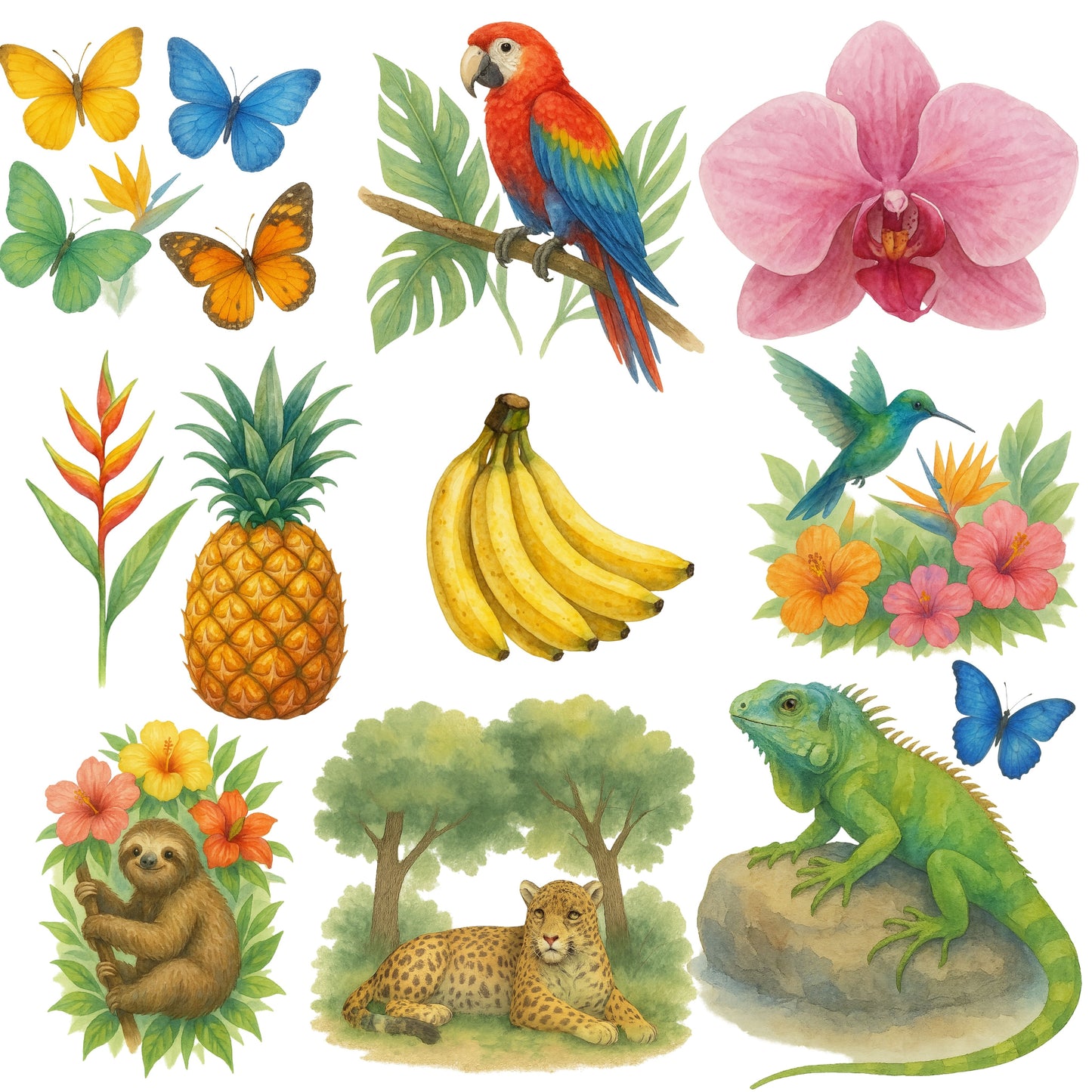 Rainforest Watercolor Clipart Bundle – Jungle Animals & Tropical Plants PNG, Nursery & Classroom Art, Nature Graphics, 49 PNG