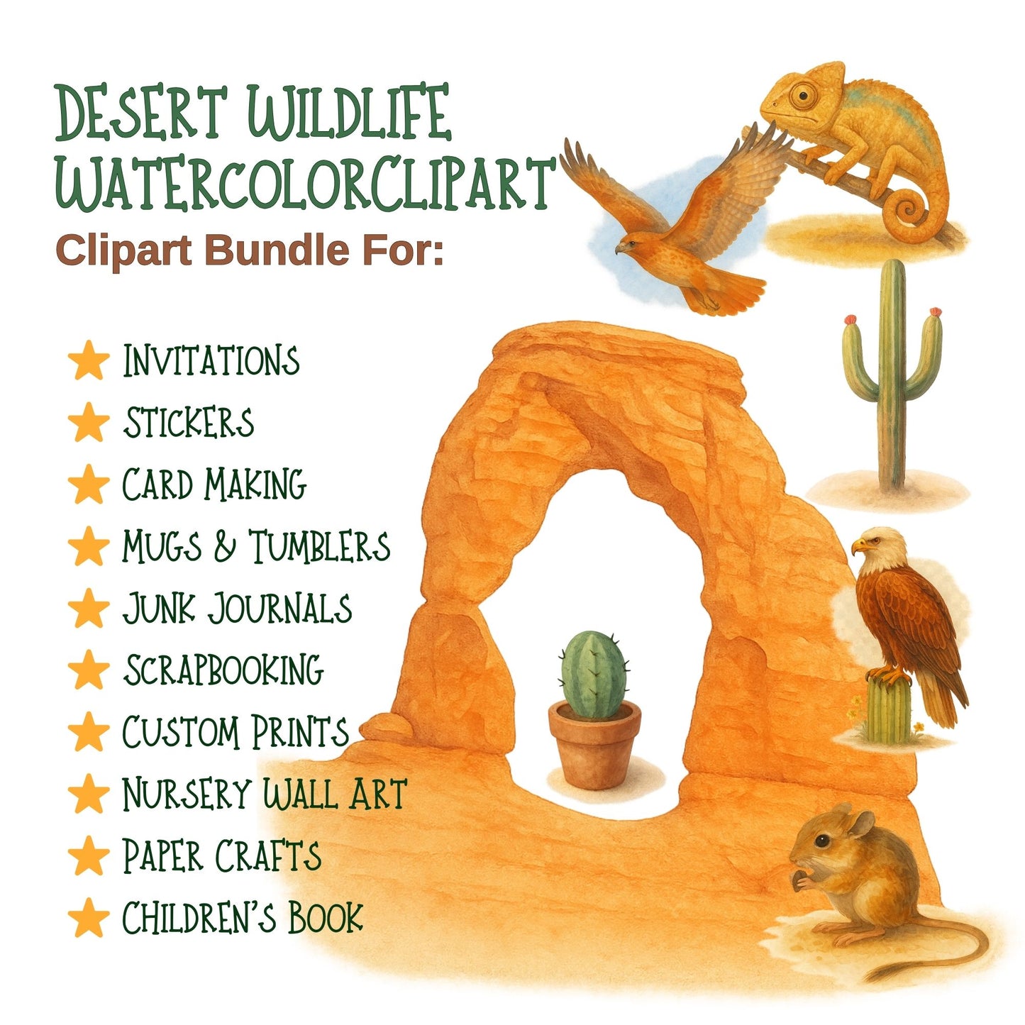 Desert Wildlife Watercolor Clipart Bundle – PNG Desert Animals, Cactus & Southwest Nature Art (50 Files)