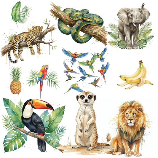 Watercolor Jungle Animal Clipart – Safari PNG Bundle | Lions, Elephants, Toucans, Tropical Animals (50 Files)