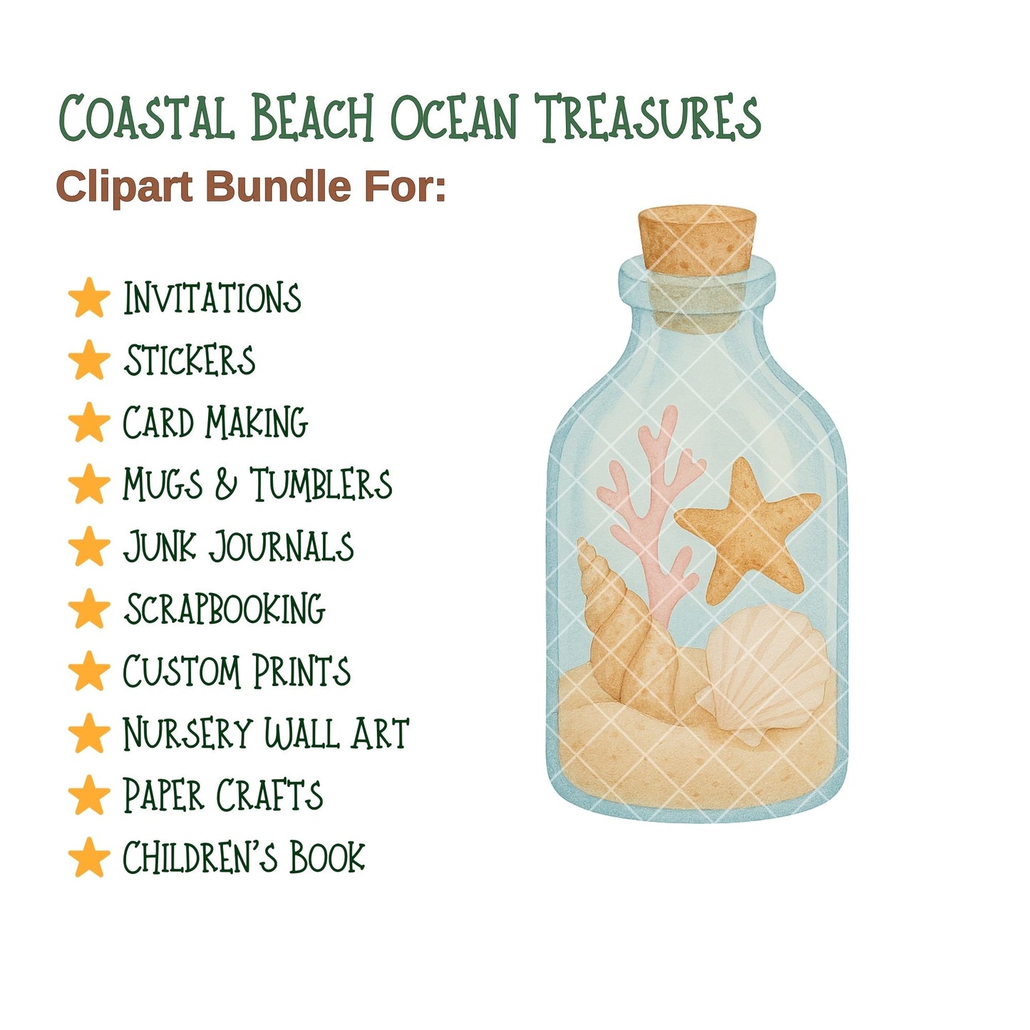 Coastal Watercolor Clipart PNG | Beach & Ocean Sea Life Art | Summer Beach Clipart | Ocean Treasures PNG | Commercial Use