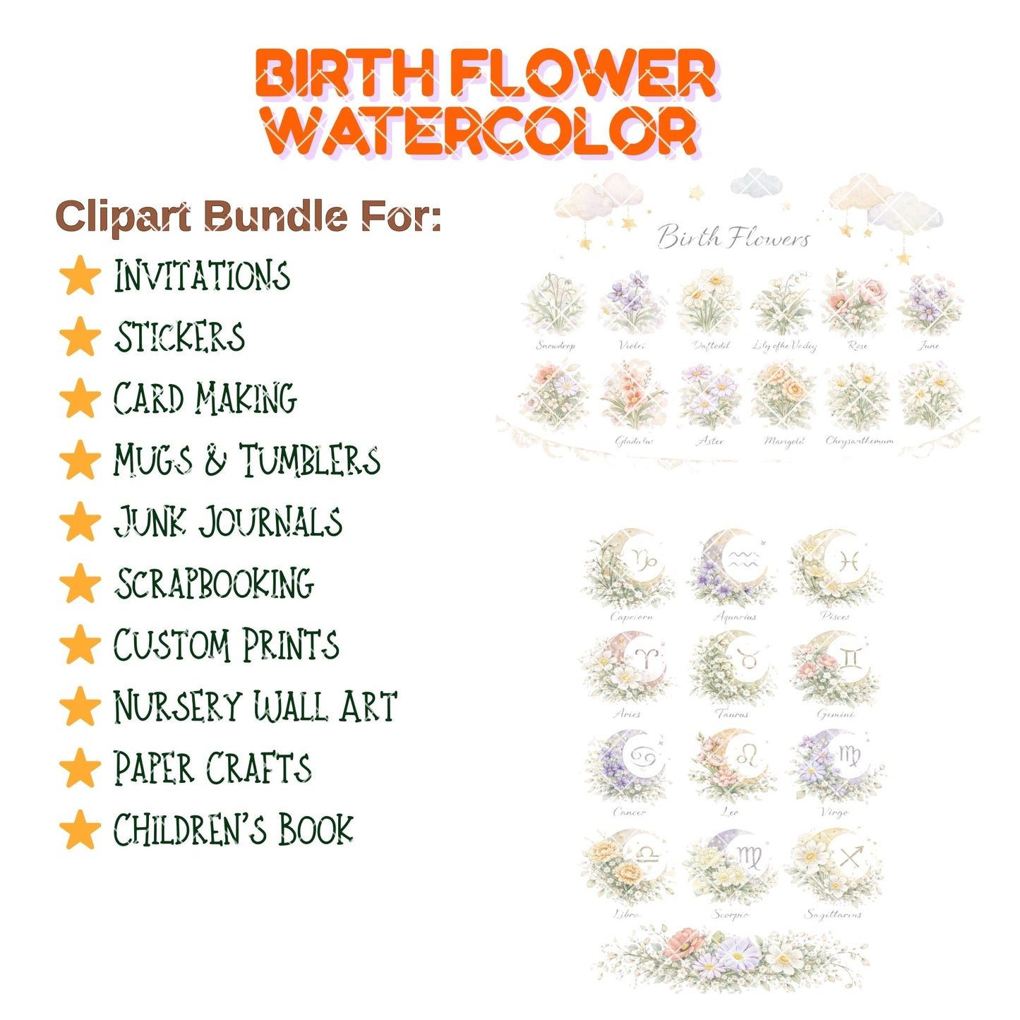 Birth Flower Clipart – 55 Watercolor Floral PNG Files – Monthly Birth Flowers for Nursery, Posters & Crafts