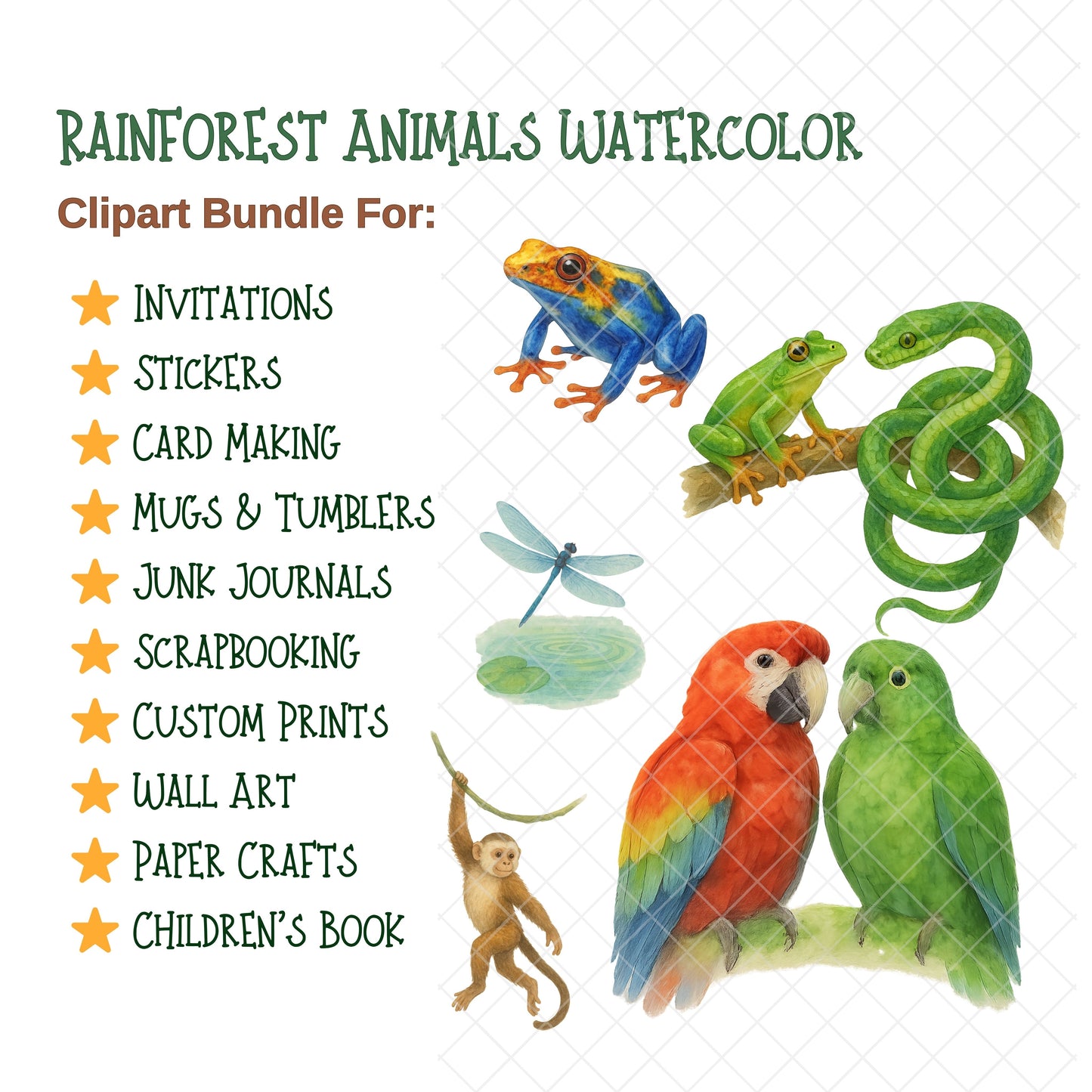 Rainforest Watercolor Clipart Bundle – Jungle Animals & Tropical Plants PNG, Nursery & Classroom Art, Nature Graphics, 49 PNG
