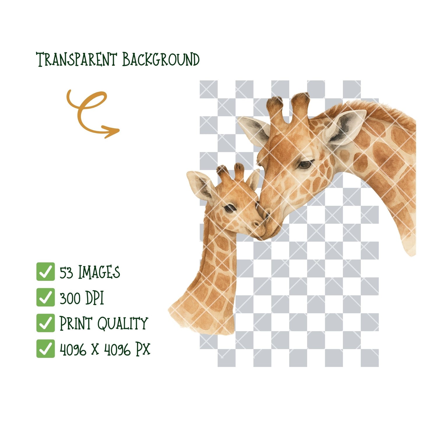 Safari Watercolor Clipart PNG | Jungle Animals Clipart | Safari Nursery Art | Jungle Adventure PNG | Commercial Use