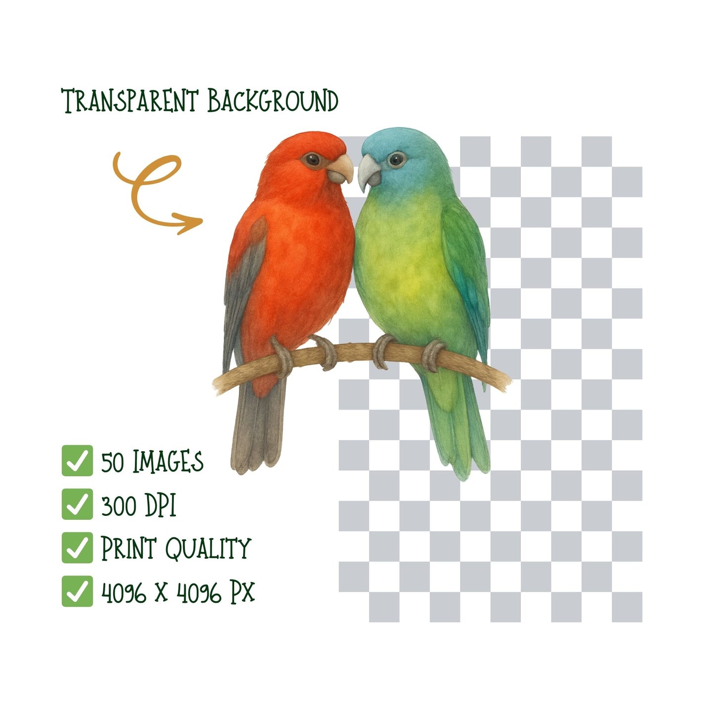 Watercolor Pet Accessories Clipart PNG – Dog & Cat Toys, Collars, Beds, Treats (50 PNG)