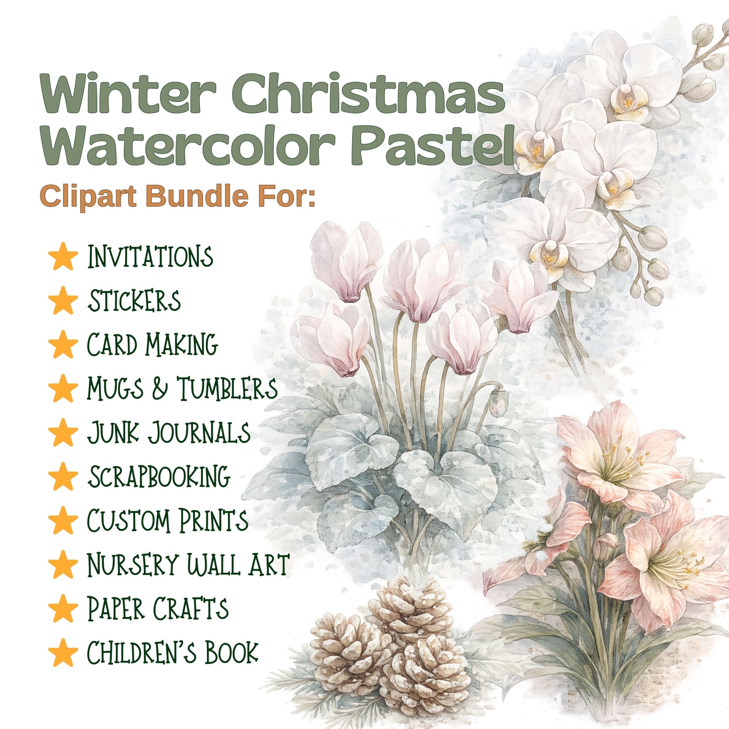 Winter Christmas Floral Clipart – 55 Watercolor Holiday PNG Files – Pine, Roses & Snowy Botanical Graphics