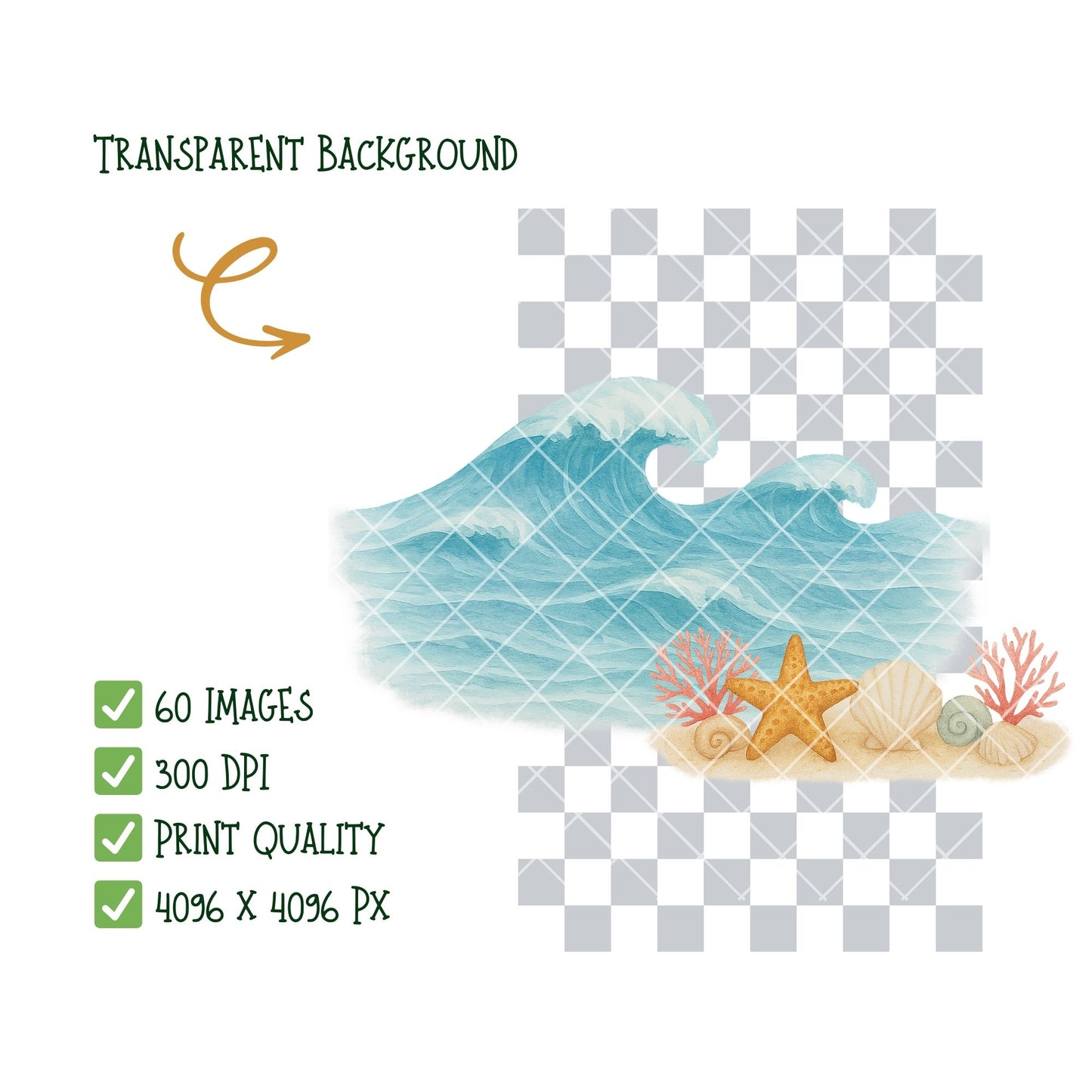 Coastal Watercolor Clipart PNG | Beach & Ocean Sea Life Art | Summer Beach Clipart | Ocean Treasures PNG | Commercial Use