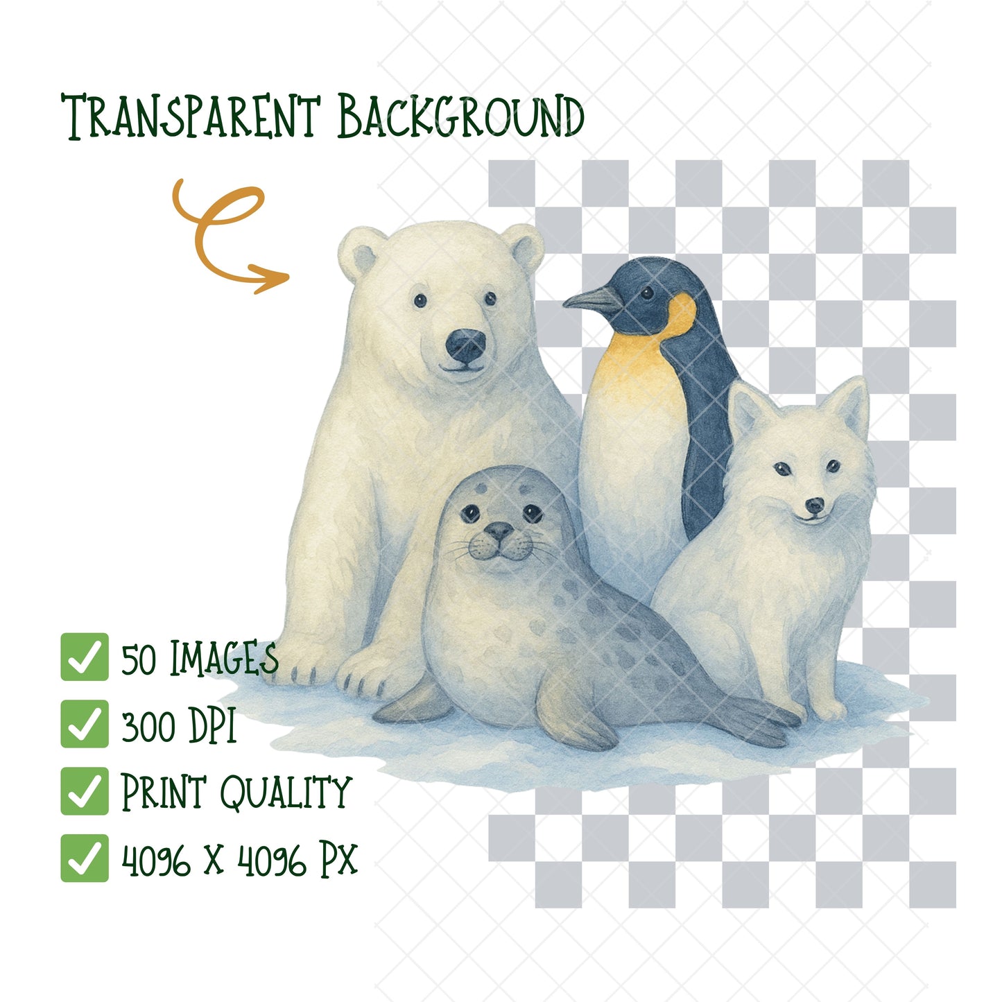 Arctic Polar Animals Watercolor Clipart Bundle – Polar Bear, Penguin & Winter Wildlife PNG, Classroom & Nursery Art, 50 PNG