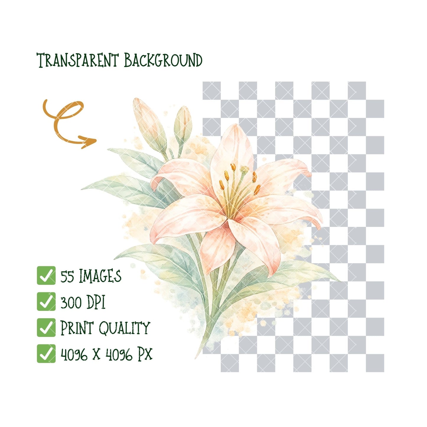 Tropical Watercolor Flower Clipart – 55 Pastel Floral PNG Files – Hibiscus, Lotus & Tropical Leaves Graphics