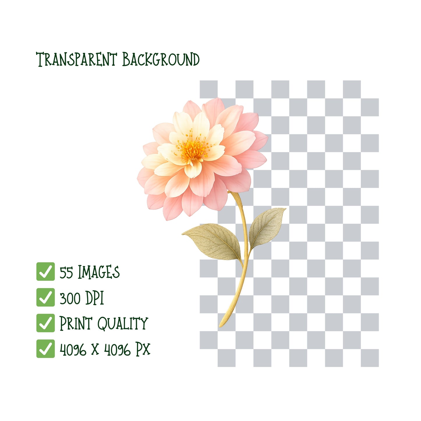 Dahlia Watercolor Clipart – 55 Pastel Floral PNG Files – Romantic Dahlia Bouquets & Garden Flowers