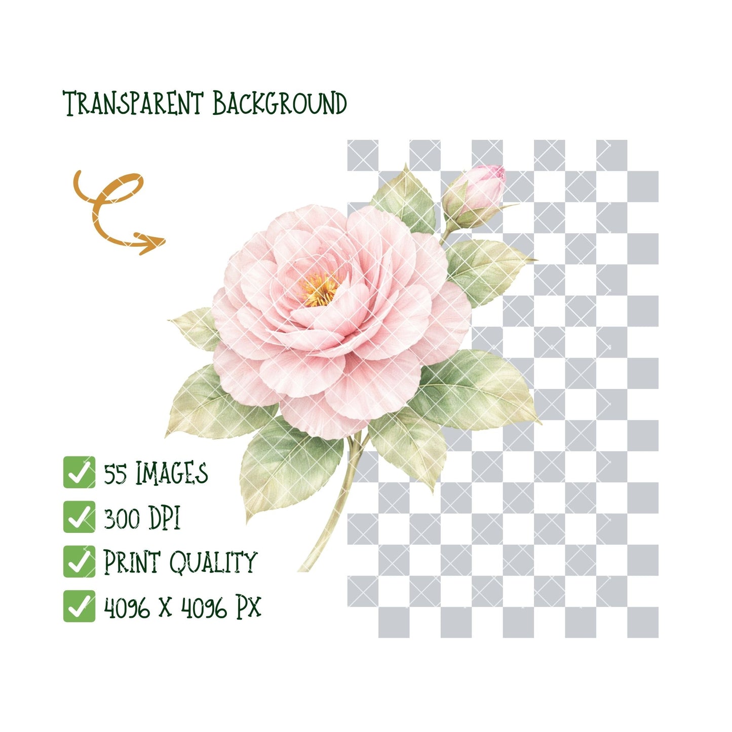 Pastel Floral Watercolor Clipart – 55 Flower PNG Files – Roses, Peonies, Tulips & Bouquet Graphics