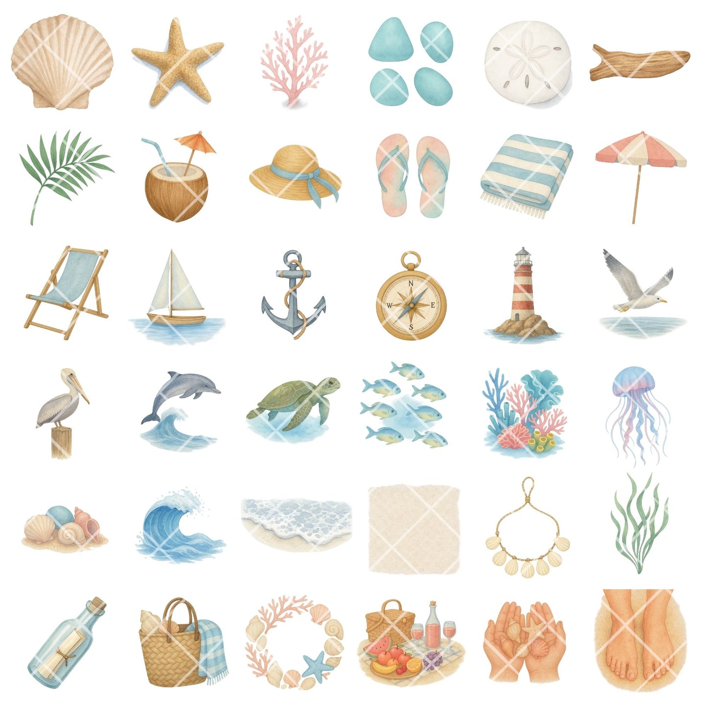 Coastal Watercolor Clipart PNG | Beach & Ocean Sea Life Art | Summer Beach Clipart | Ocean Treasures PNG | Commercial Use