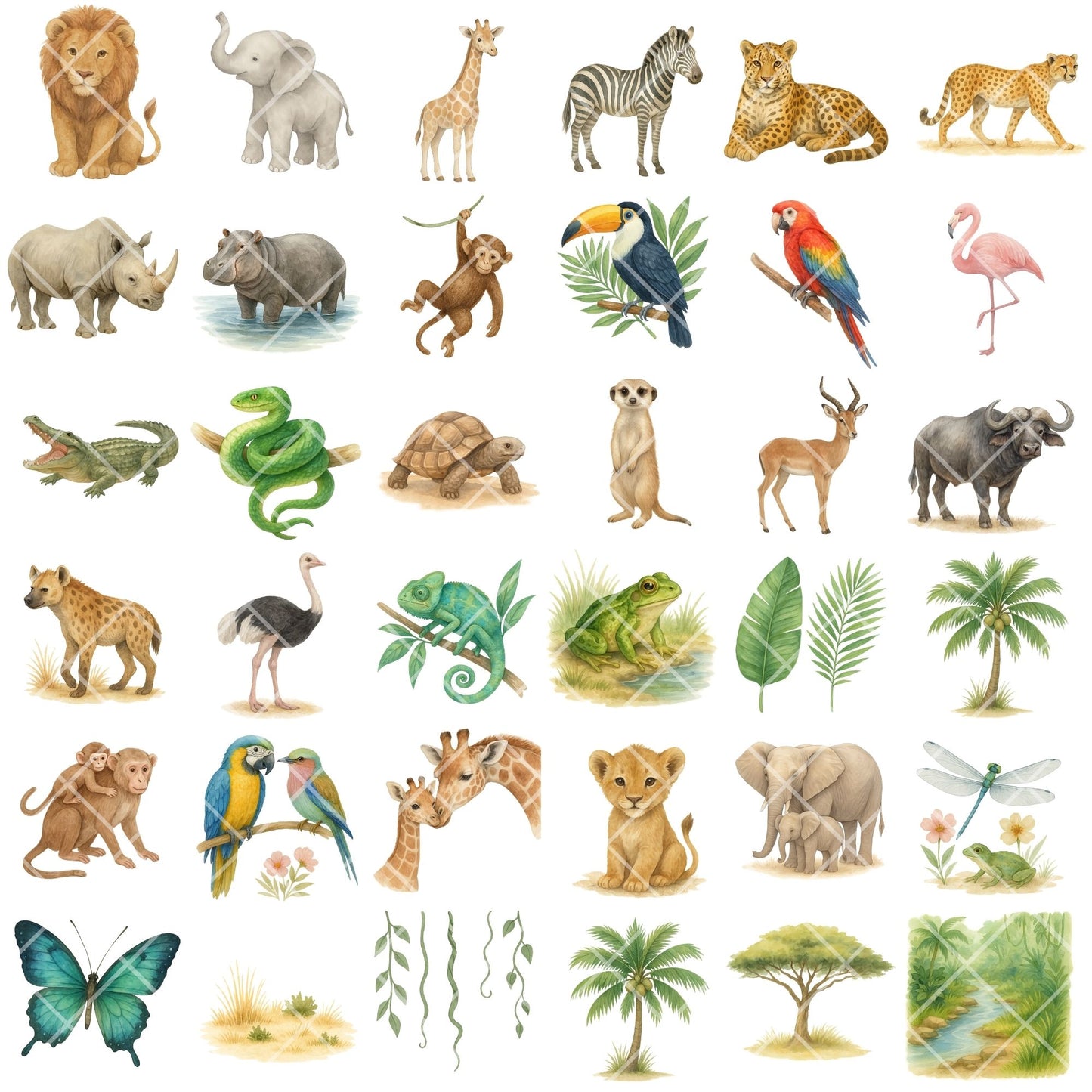 Safari Watercolor Clipart PNG | Jungle Animals Clipart | Safari Nursery Art | Jungle Adventure PNG | Commercial Use