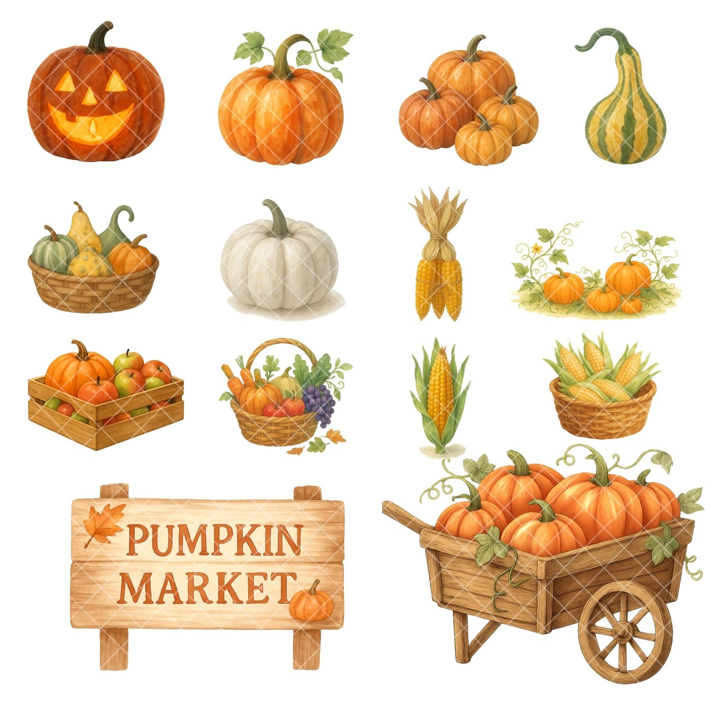 Watercolor Autumn Harvest PNG Bundle – Fall Farm Clipart, Rustic Pumpkin & Thanksgiving Art (56 Files)