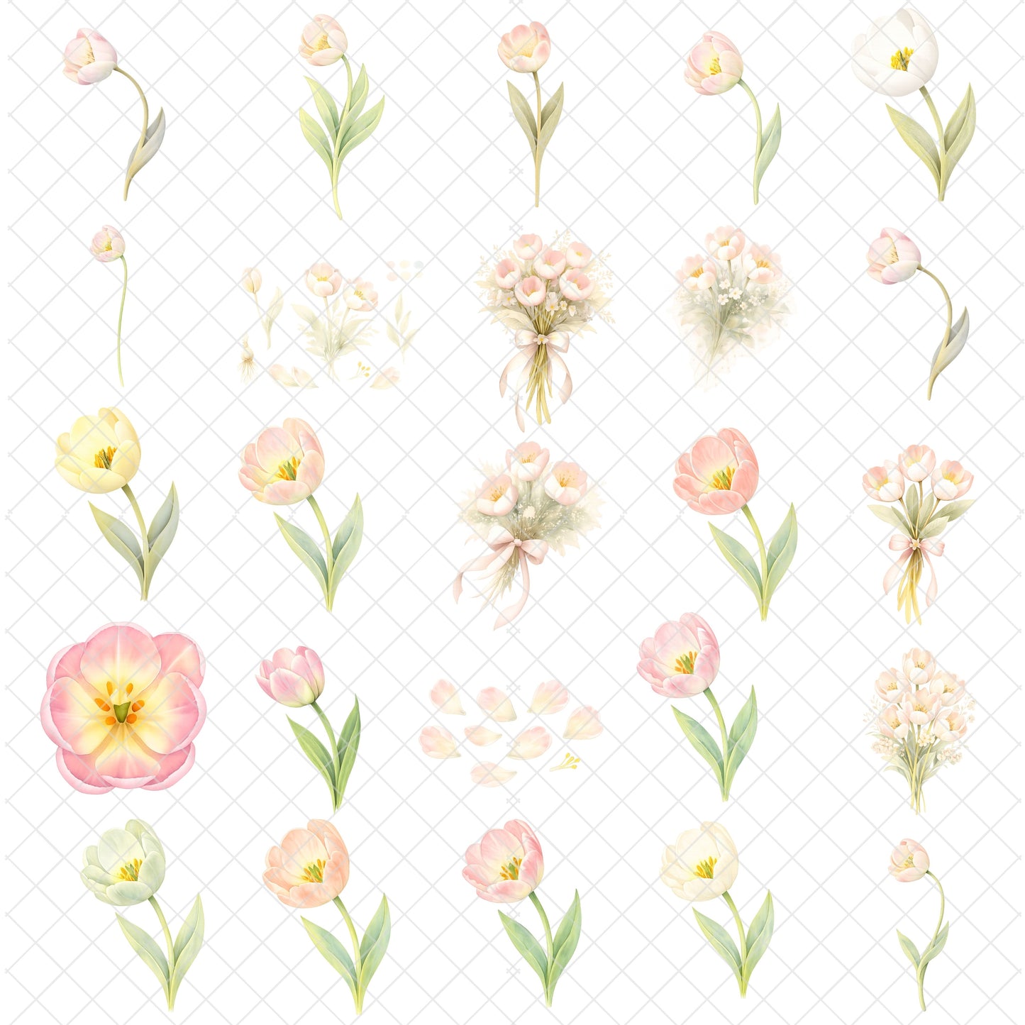 Tulip Watercolor Clipart – Pastel Spring Flower PNG Bundle (52 Files) – Wedding, Easter & Invitation Floral Graphics