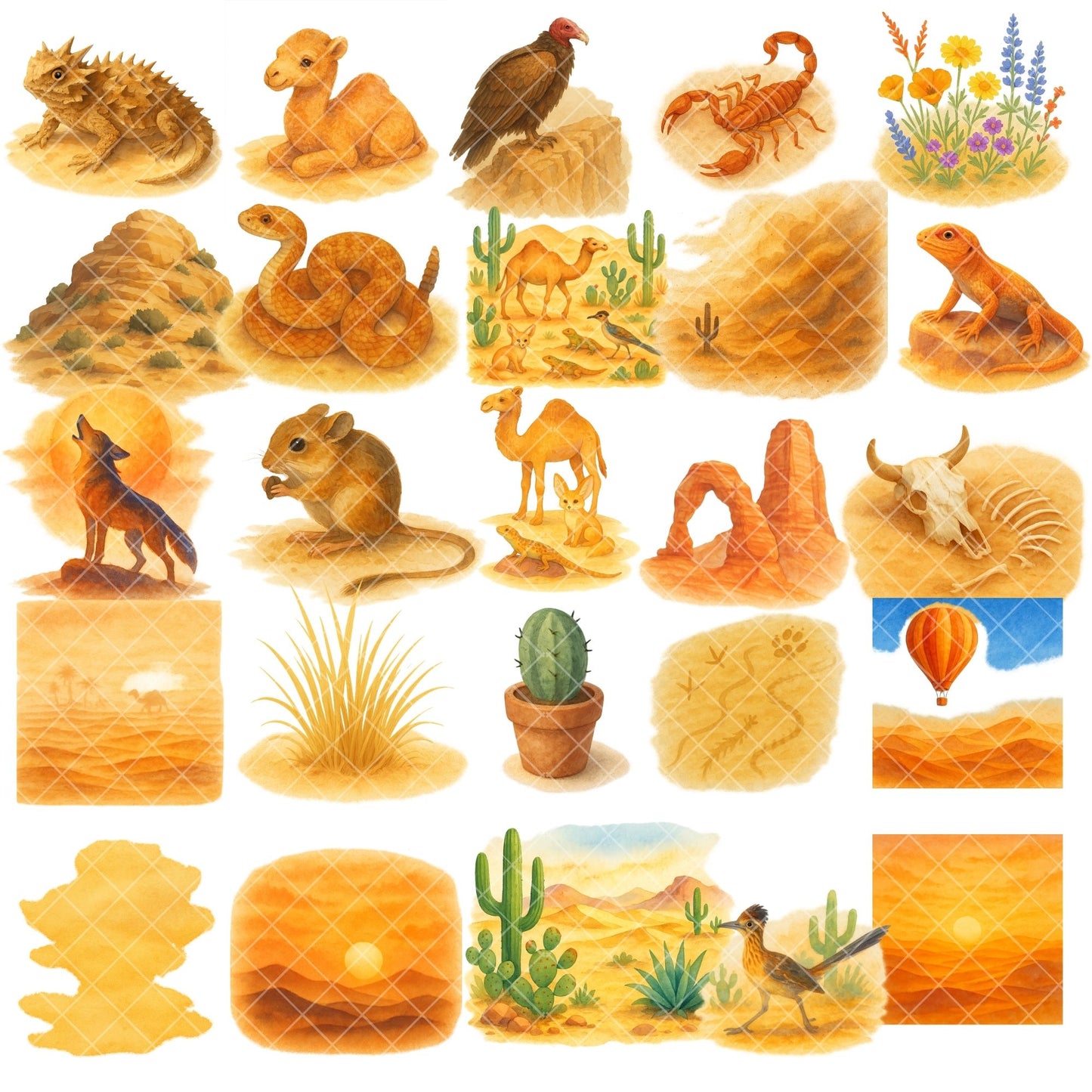 Desert Wildlife Watercolor Clipart Bundle – PNG Desert Animals, Cactus & Southwest Nature Art (50 Files)