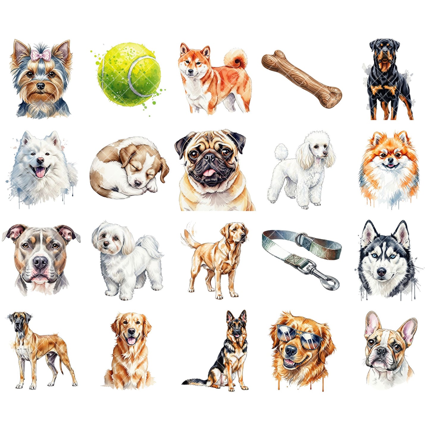 Dog Breeds Watercolor Clipart Bundle – Realistic Puppy PNG, Pet Dog Illustrations for Sublimation, Scrapbooking & Crafts, 54 PNG