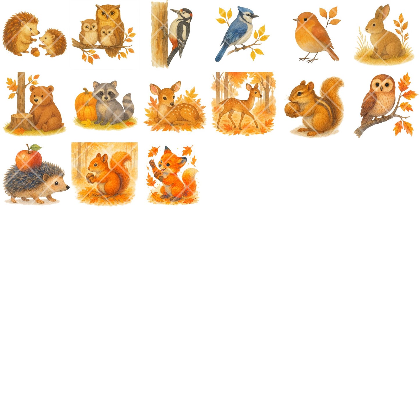 Autumn Forest Critters Clipart PNG | Watercolor Fall Woodland Animals | Cozy Autumn Nursery Art | Thanksgiving Forest PNG | Commercial Use