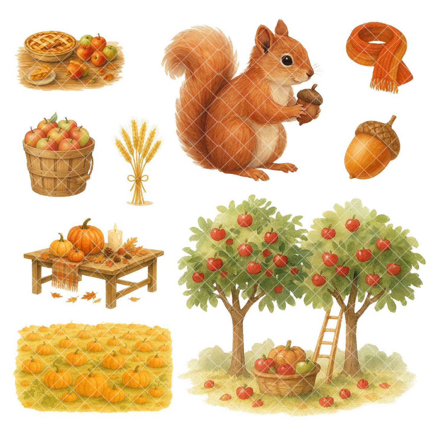 Watercolor Autumn Harvest PNG Bundle – Fall Farm Clipart, Rustic Pumpkin & Thanksgiving Art (56 Files)