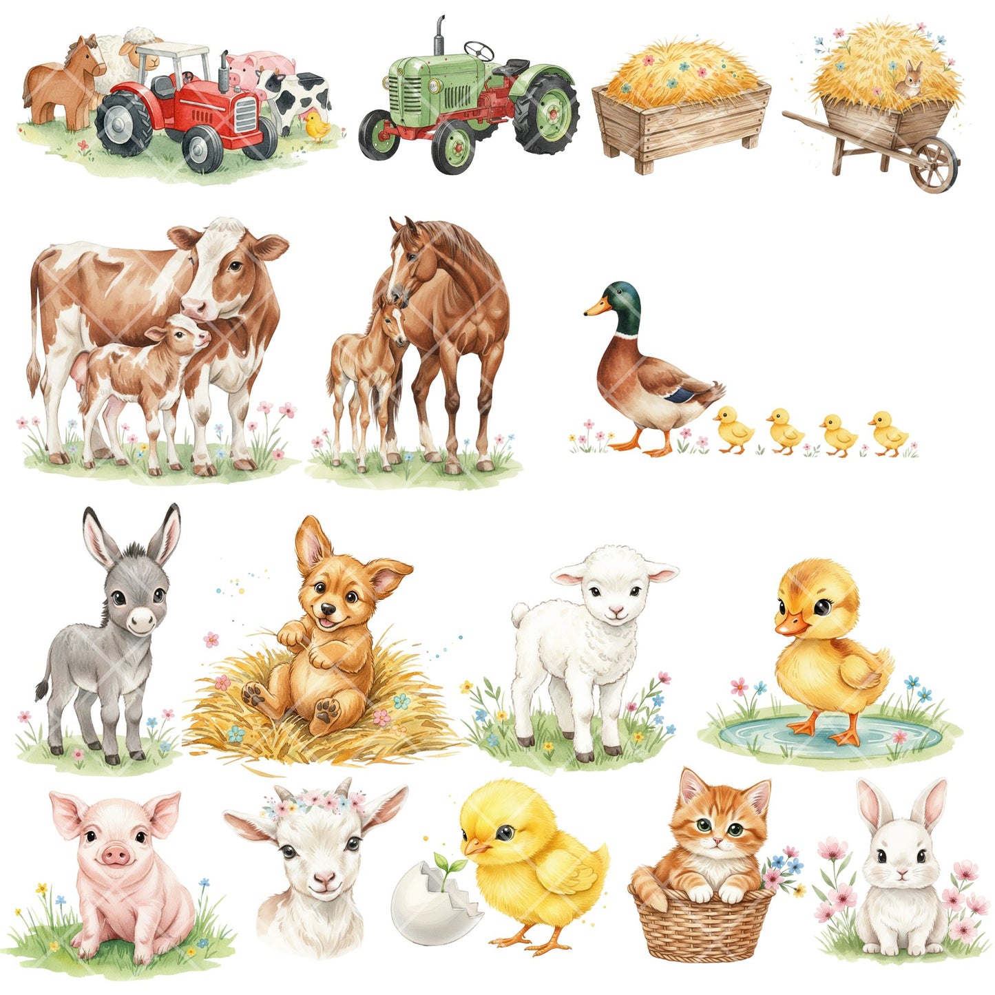 Farm Baby Animals Watercolor Clipart – Tractor & Cute Farm Animal PNG Bundle for Nursery & Kids (50 Files)