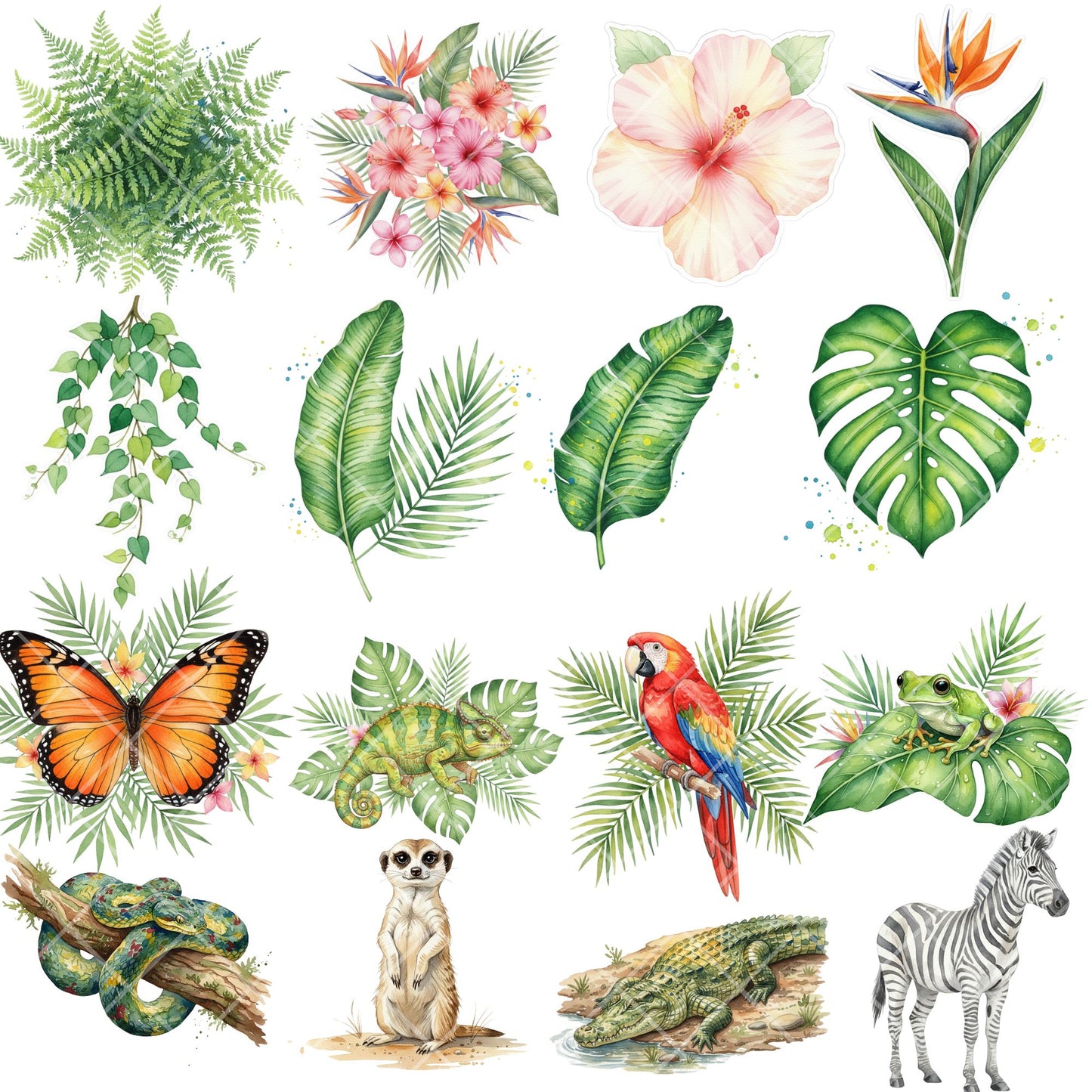 Watercolor Jungle Animal Clipart – Safari PNG Bundle | Lions, Elephants, Toucans, Tropical Animals (50 Files)