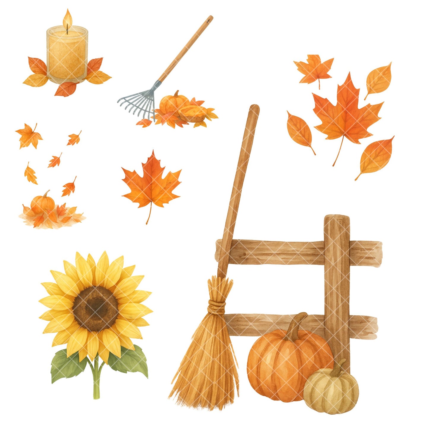 Watercolor Autumn Harvest PNG Bundle – Fall Farm Clipart, Rustic Pumpkin & Thanksgiving Art (56 Files)